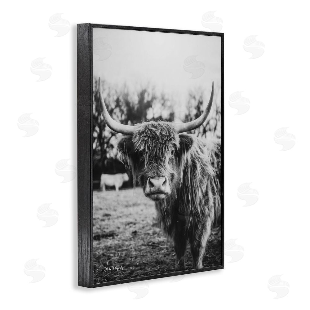 Dakota Diener Peering Highland Cattle Black Framed Giclee Wall Art Print