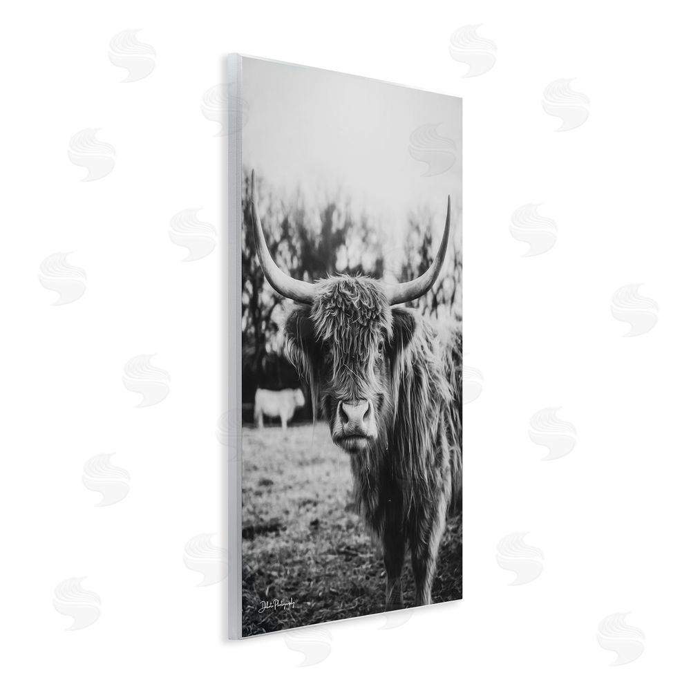 Dakota Diener Peering Highland Cattle Wall Plaque Art Print