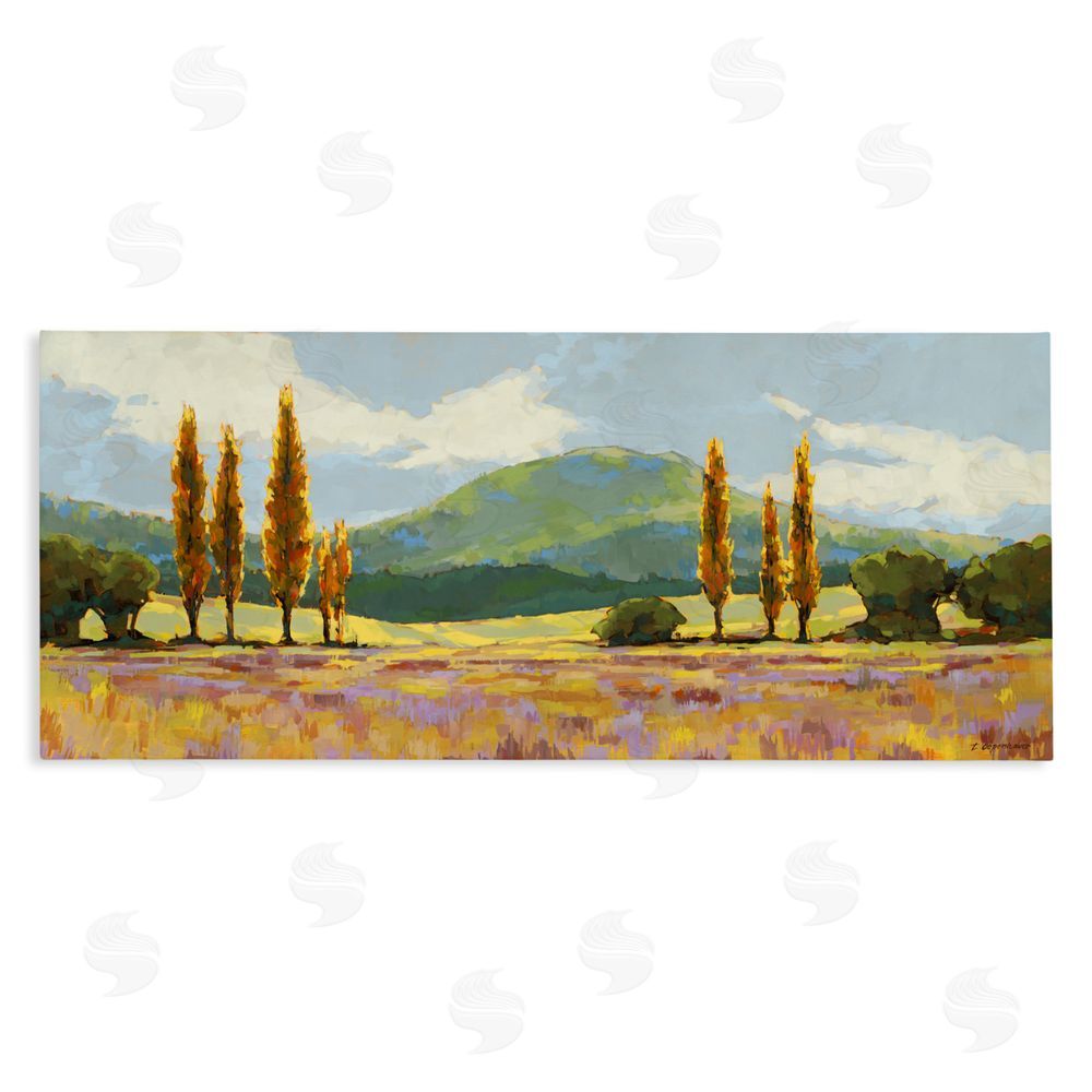 Trevor Copenhaver Countryside with Dabbled Pastels Stretched Canvas Wall Art Print
