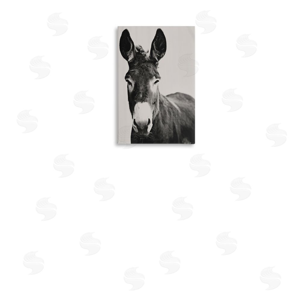 Amy Carroll Franz the Donkey Portrait Stretched Canvas Wall Art in Room