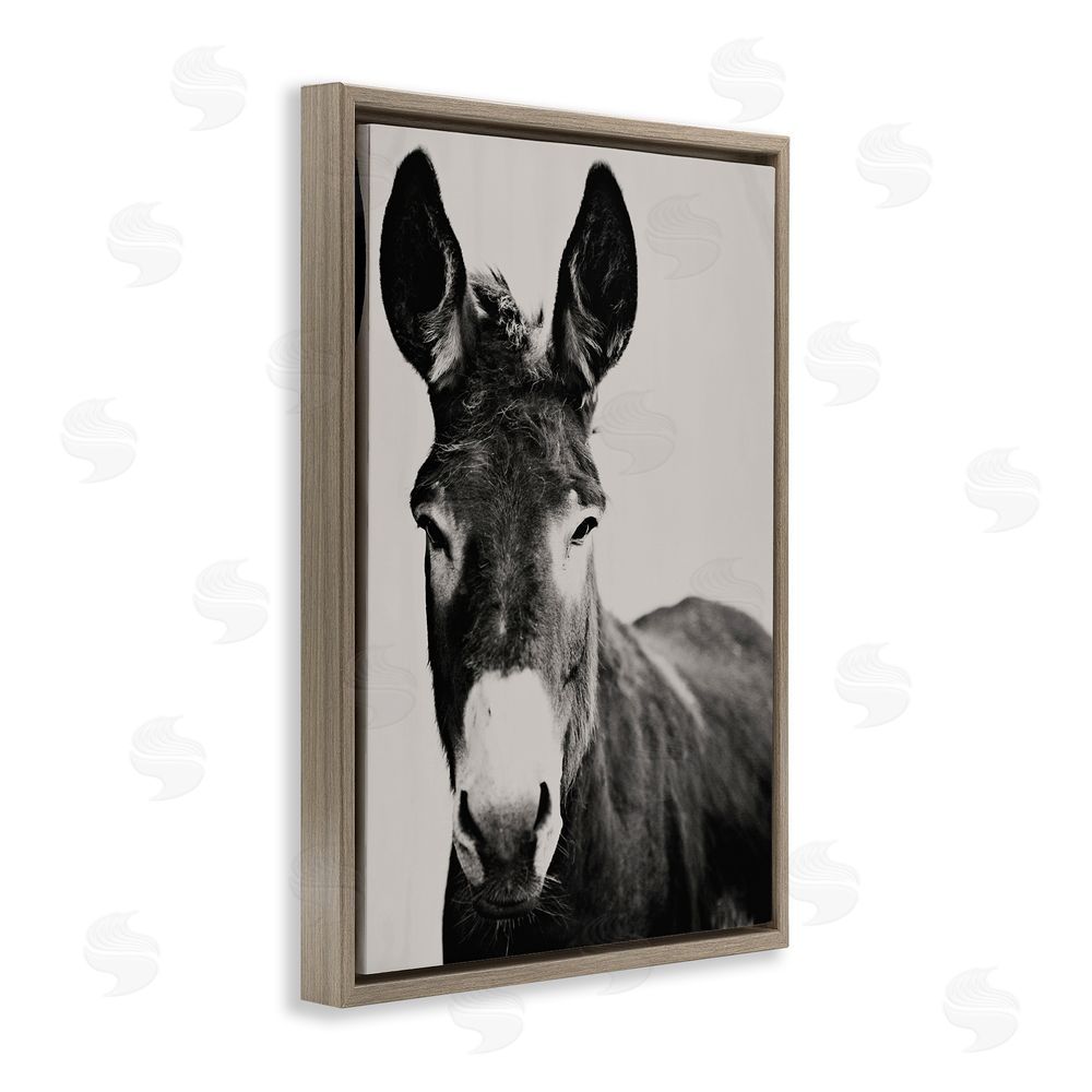 Amy Carroll Franz the Donkey Portrait Brown Floating Frame Canvas Wall Art