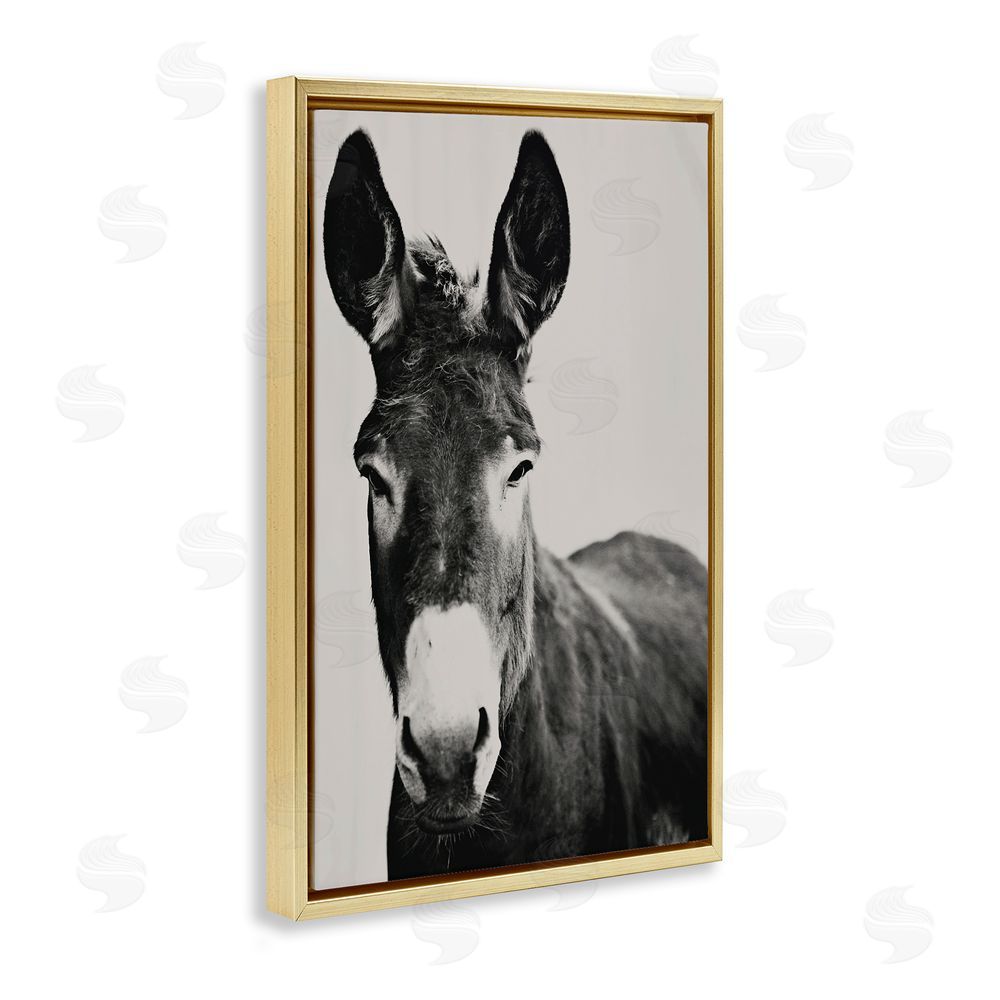 Amy Carroll Franz the Donkey Portrait Gold Floating Frame Canvas Wall Art