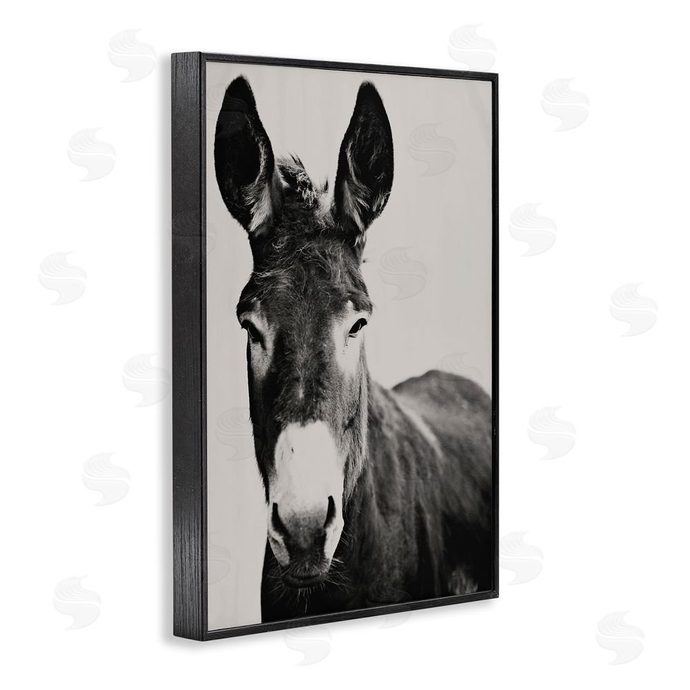 Amy Carroll Franz the Donkey Portrait Blacked Framed Giclee Wall Art Print