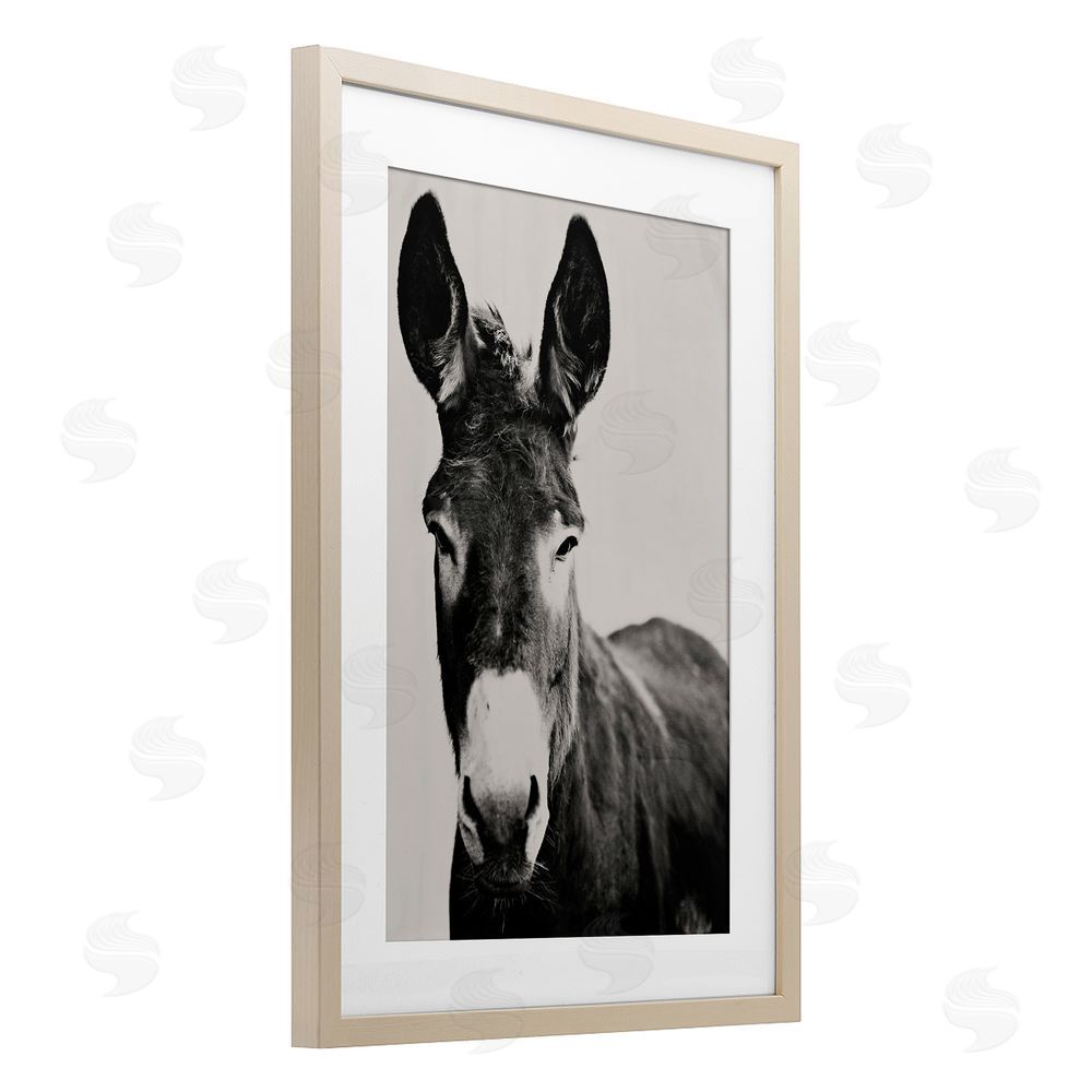Amy Carroll Franz the Donkey Portrait Brown Framed Print Under Glass with Mat Wall Art