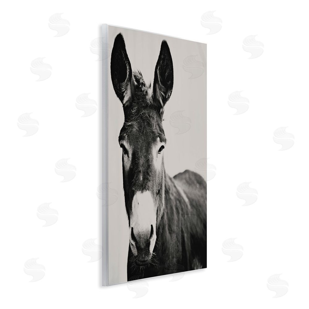 Amy Carroll Franz the Donkey Portrait Wooden Wall Plaque Art Print