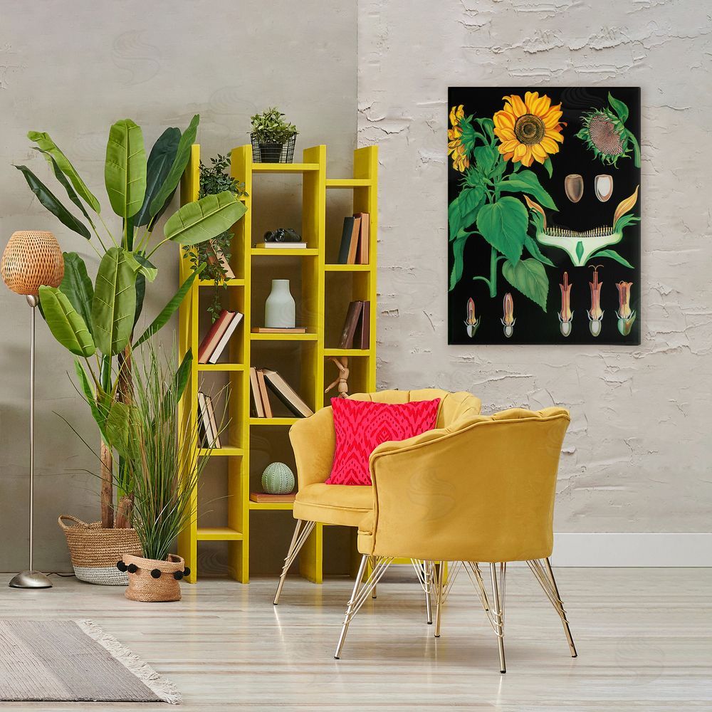 Vintage Hustle Sunflower Bulb Illustrations Stretched Canvas Wall Art Print in Room