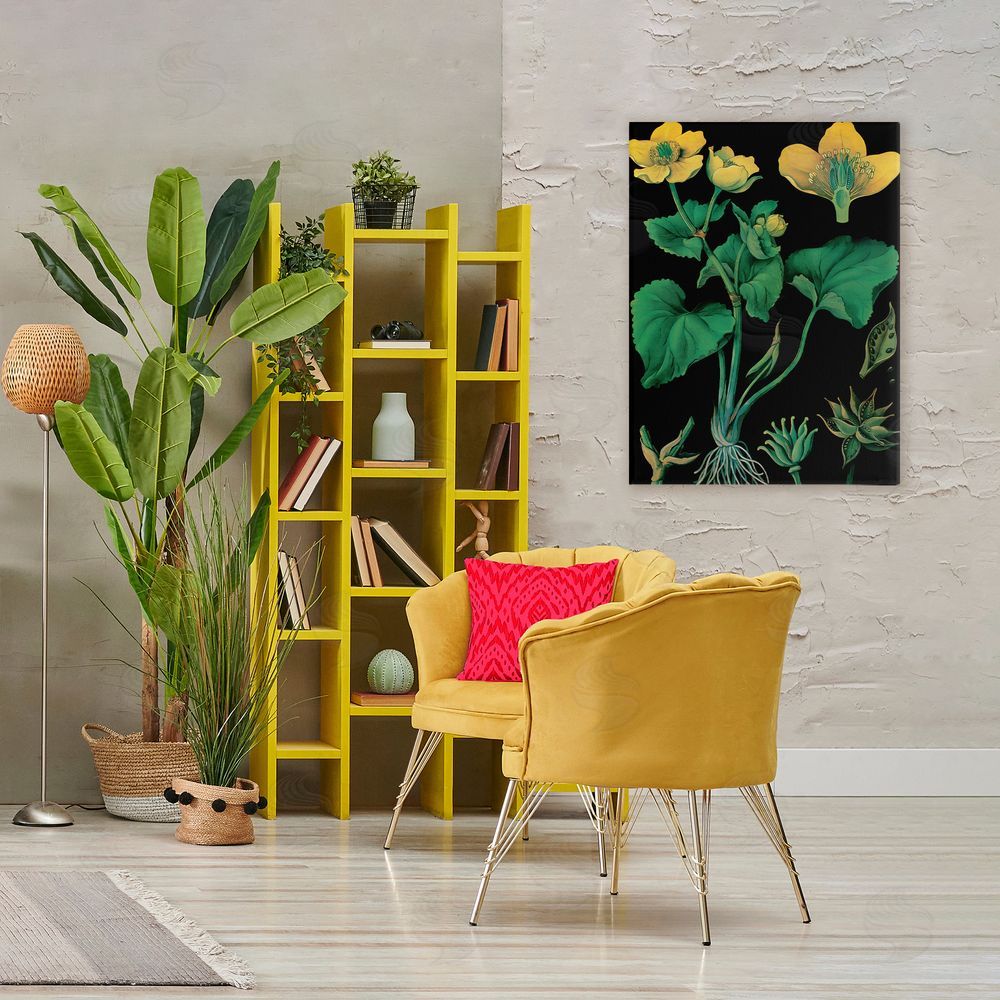 Vintage Hustle Marsh Marigold Illustration Study Stretched Canvas Wall Art in Room