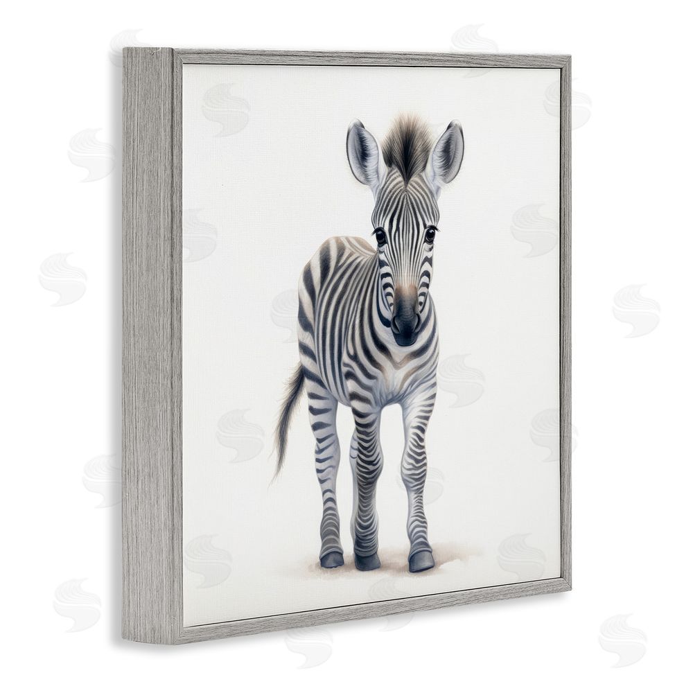 Ray Powers Friendly Zebra Foal Gray Framed Giclee Wall Art Print
