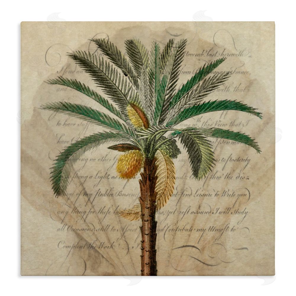 Steve Hunziker Vintage Subdued Palm Stretched Canvas Wall Art Print