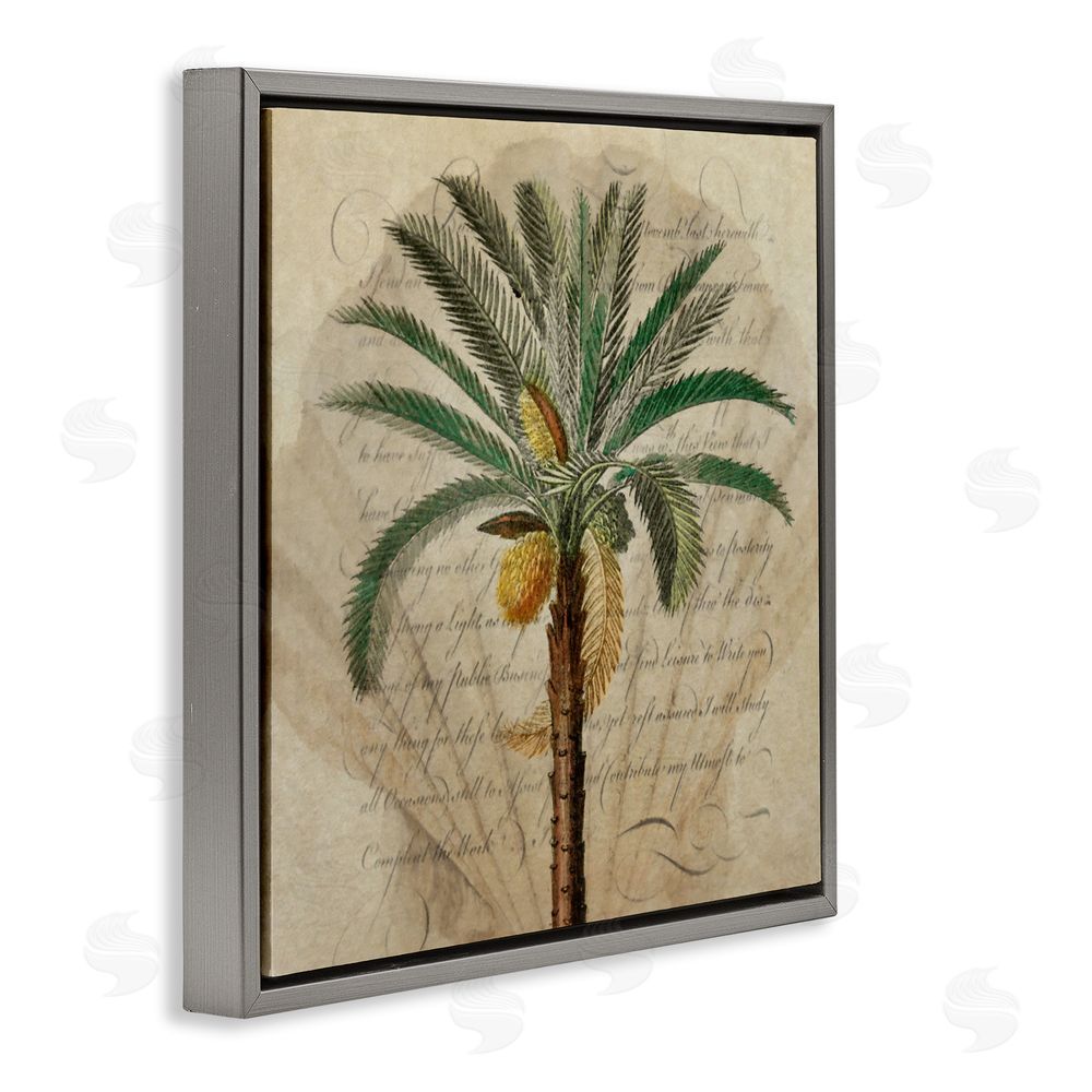 Steve Hunziker Vintage Subdued Palm Gray Floating Frame Canvas Wall Art Print