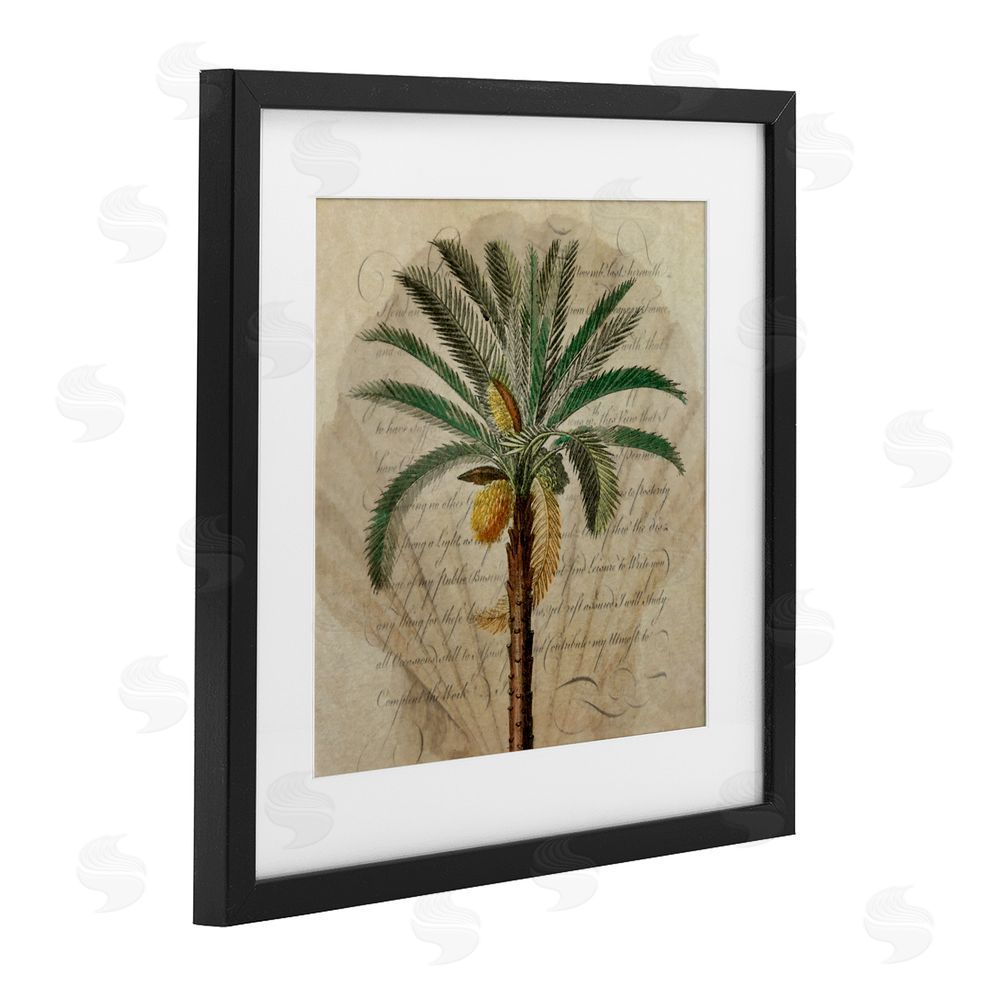 Steve Hunziker Vintage Subdued Palm Black Framed Print Under Glass Wall Art