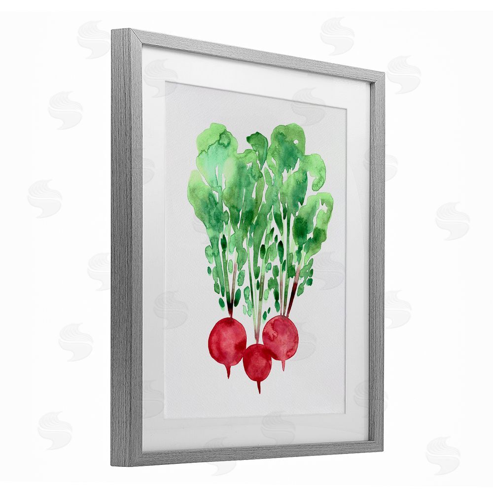 Camila Juncos Watercolor Garden Radishes Gray Framed Print Under Glass Art