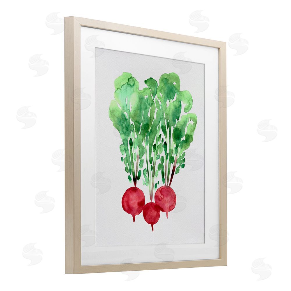 Camila Juncos Watercolor Garden Radishes Birch Framed Print Under Glass Art