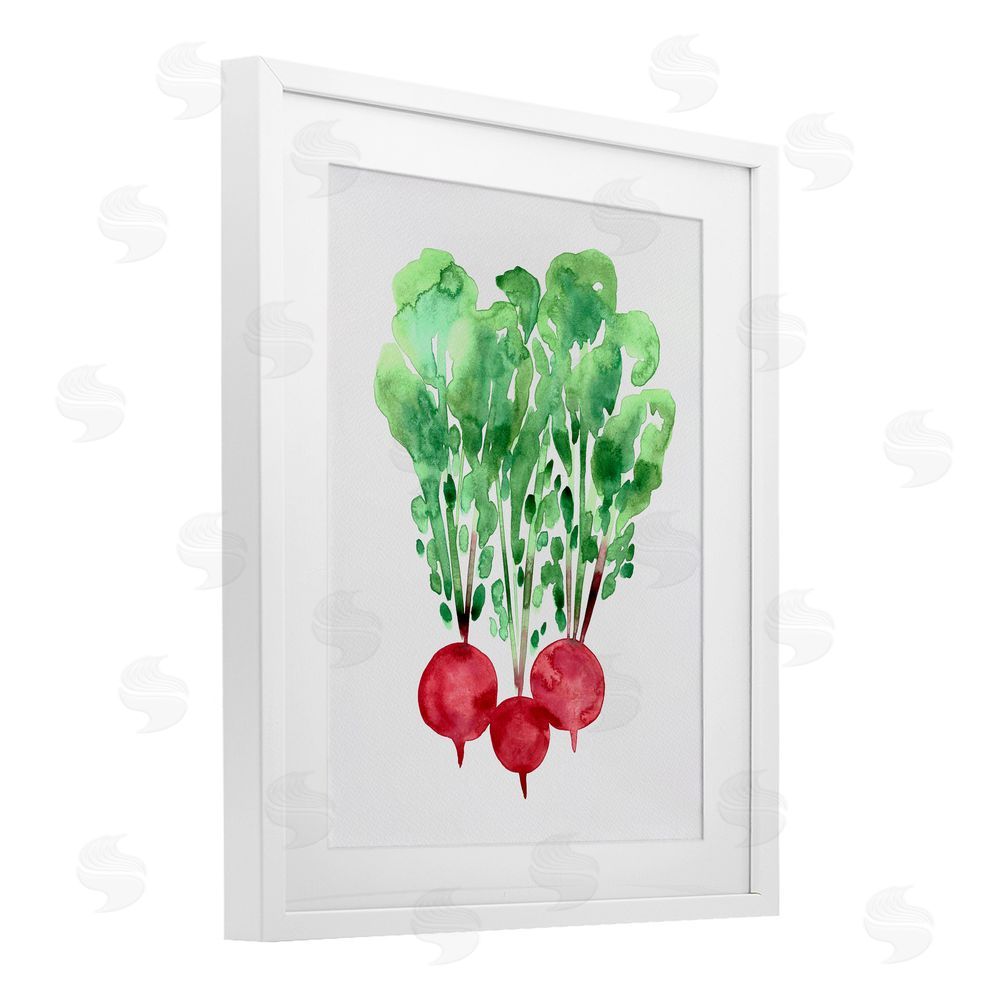 Camila Juncos Watercolor Garden Radishes White Framed Print Under Glass Art