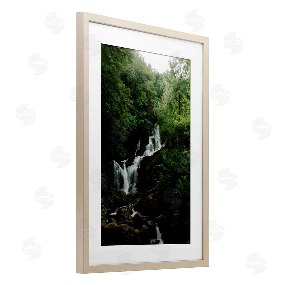 Jade Sharp Photo Cascading Waterfall in Forest Birch Framed Print Under Glass Art