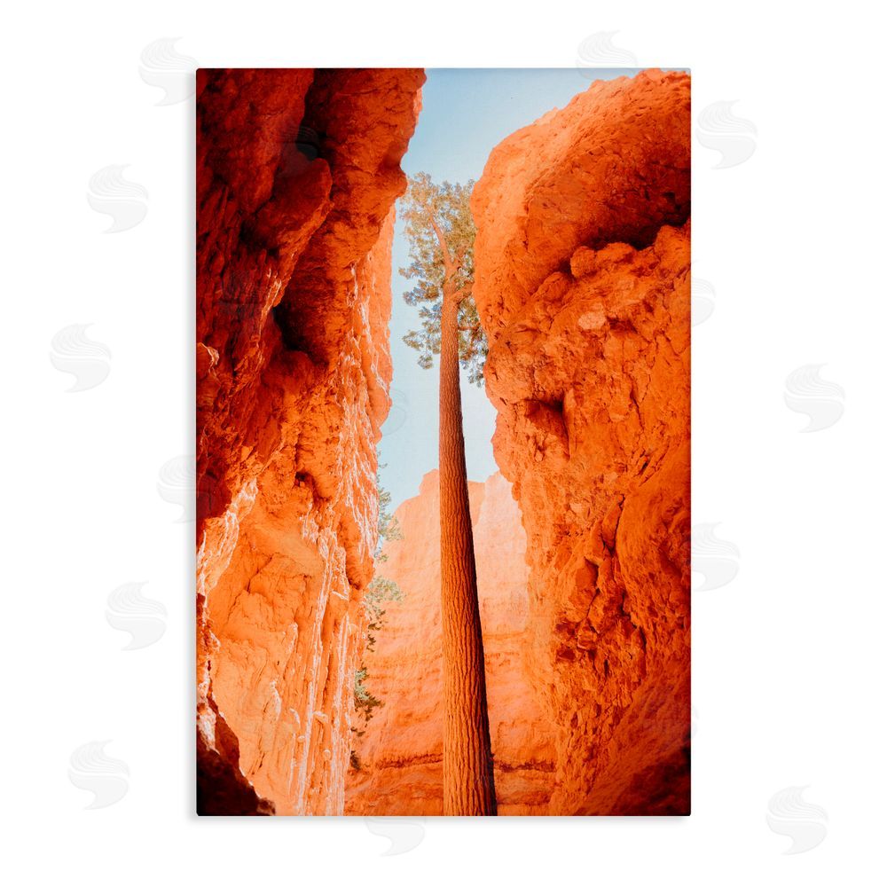 Jade Sharp Photo Bryce Canyon Looming Cliffs Canvas Wall Art Print