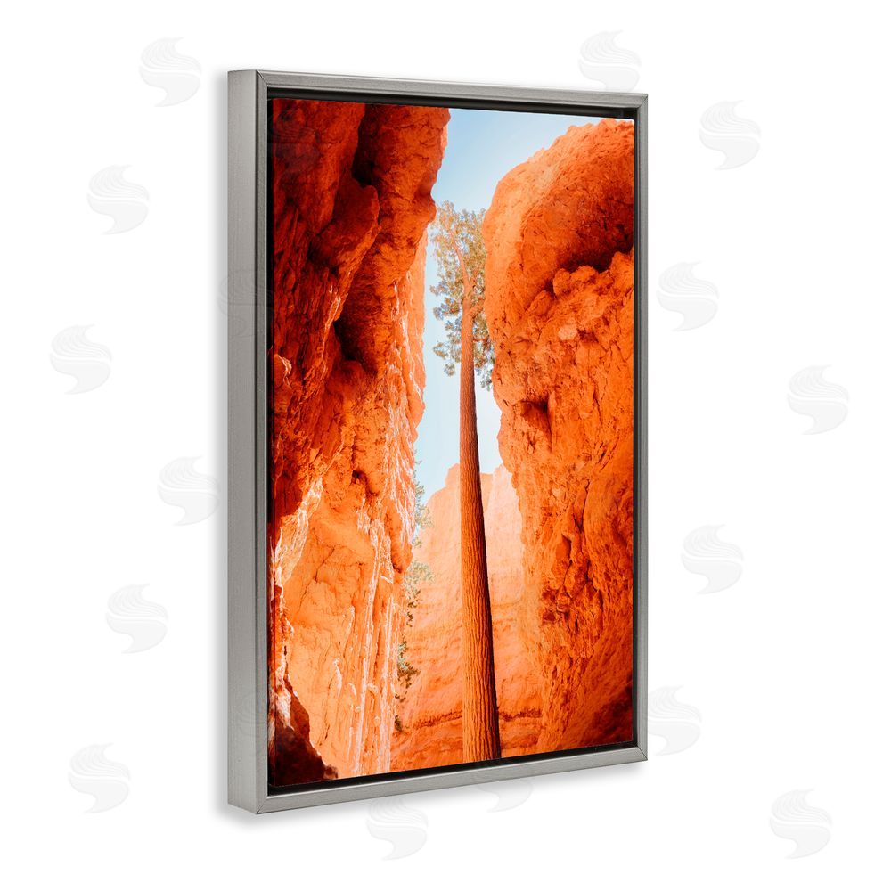 Jade Sharp Photo Bryce Canyon Looming Cliffs Gray Floating Frame Canvas Art Print