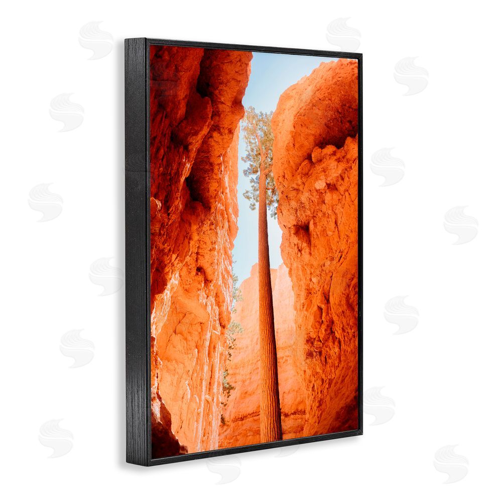 Jade Sharp Photo Bryce Canyon Looming Cliffs Black Framed Giclee Art Print