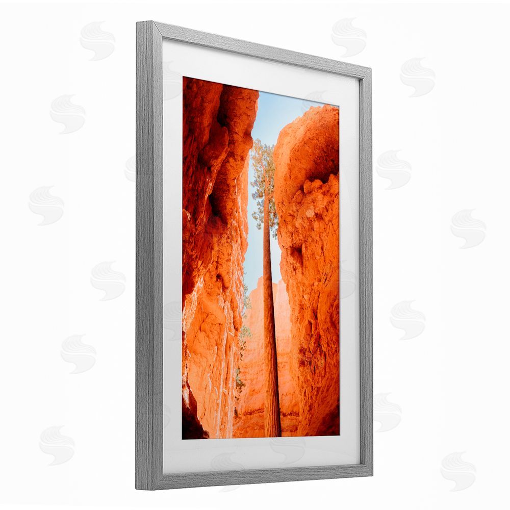 Jade Sharp Photo Bryce Canyon Looming Cliffs Gray Framed Print Under Glass Art