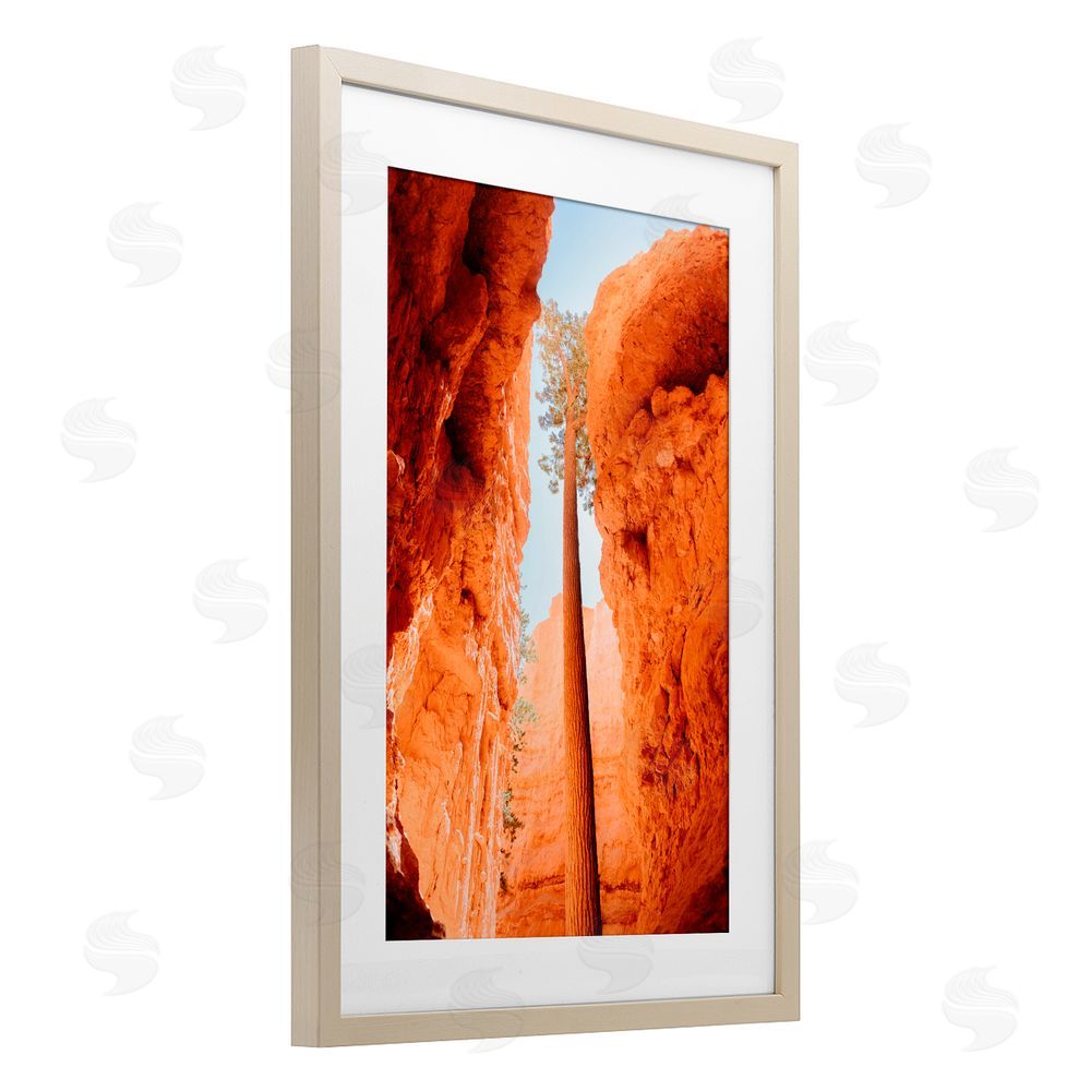 Jade Sharp Photo Bryce Canyon Looming Cliffs Birch Framed Print Under Glass Art