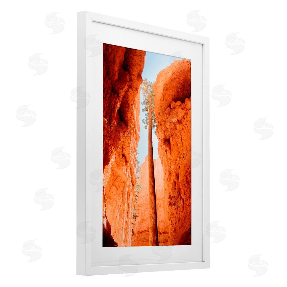 Jade Sharp Photo Bryce Canyon Looming Cliffs White Framed Print Under Glass Art