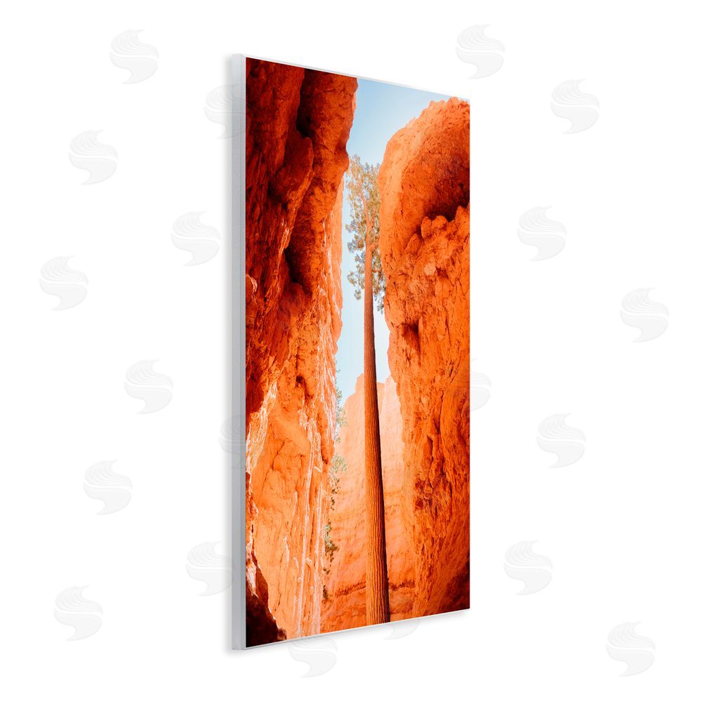 Jade Sharp Photo Bryce Canyon Looming Cliffs Wall Plaque Art Print