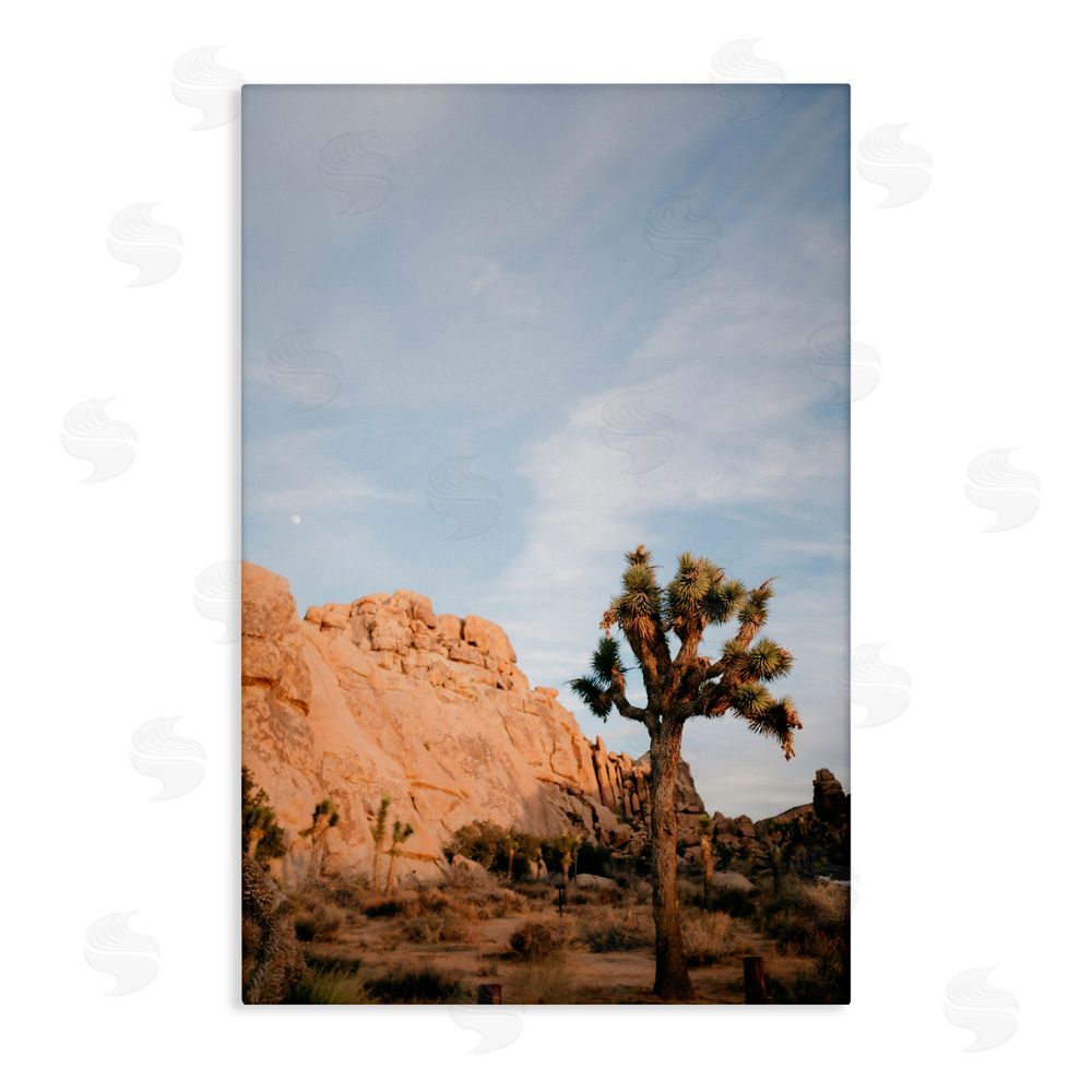 Jade Sharp Photo Joshua Tree & Canyon Canvas Wall Art Print
