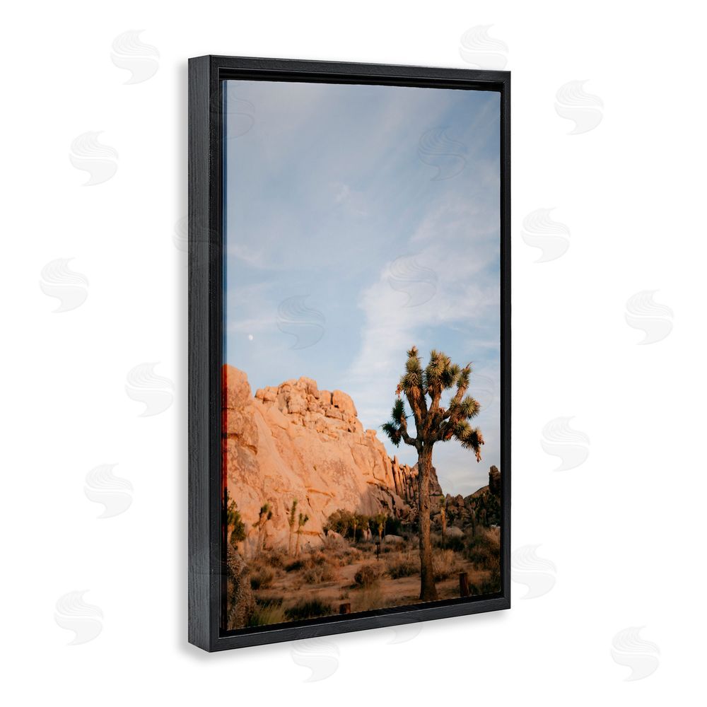 Jade Sharp Photo Joshua Tree & Canyon Black Floating Frame Canvas Wall Art Print