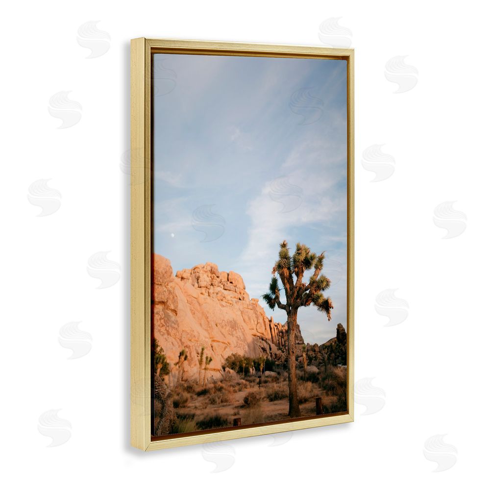 Jade Sharp Photo Joshua Tree & Canyon Gold Floating Frame Canvas Art Print