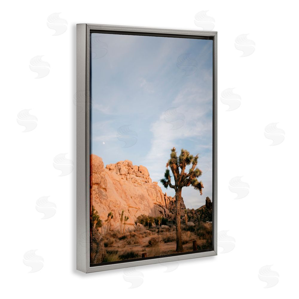 Jade Sharp Photo Joshua Tree & Canyon Gray Floating Frame Canvas Art Print