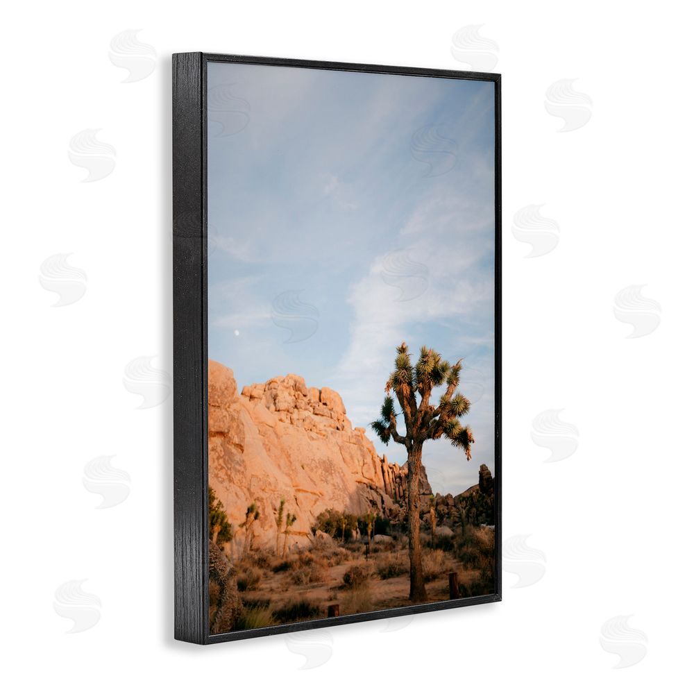 Jade Sharp Photo Joshua Tree & Canyon Black Framed Giclee Art Print