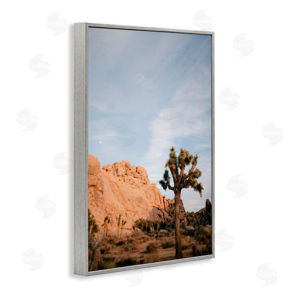 Jade Sharp Photo Joshua Tree & Canyon Gray Framed Giclee Art Print