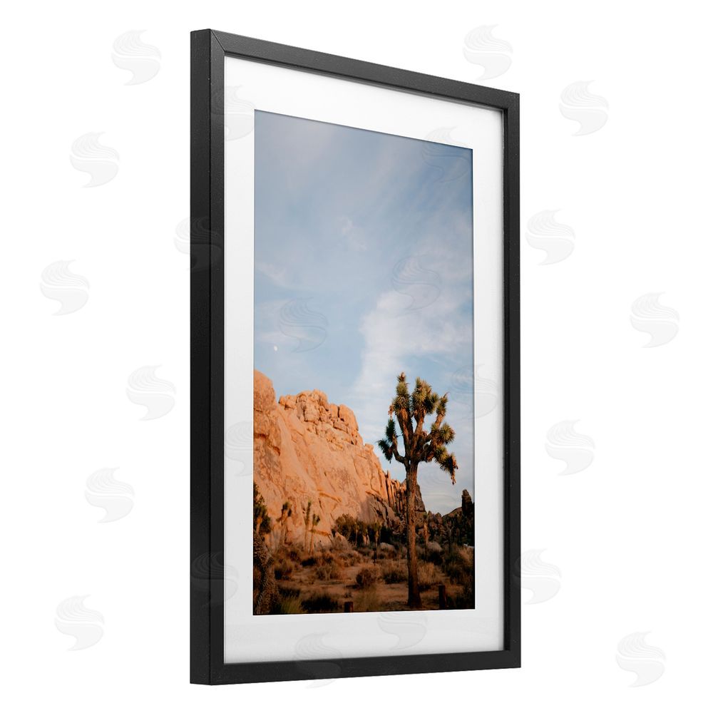 Jade Sharp Photo Joshua Tree & Canyon Black Framed Print Under Glass Art