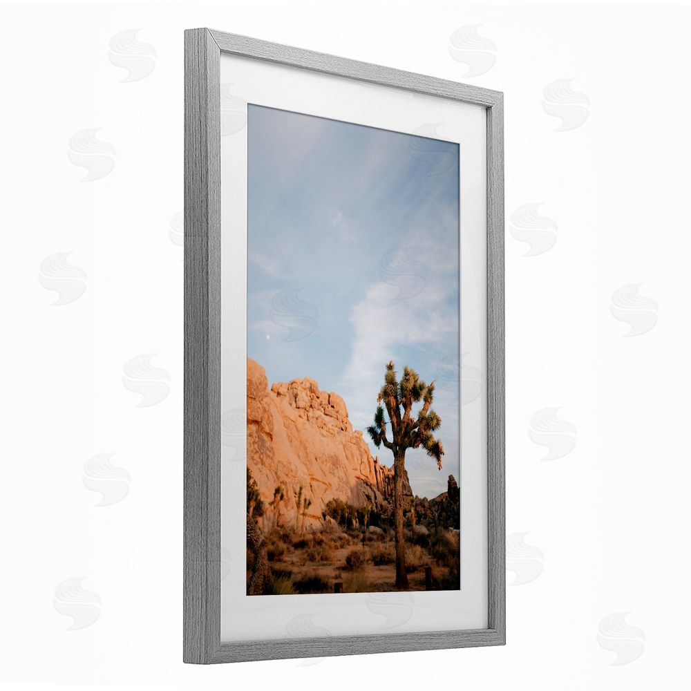 Jade Sharp Photo Joshua Tree & Canyon Gray Framed Print Under Glass Art