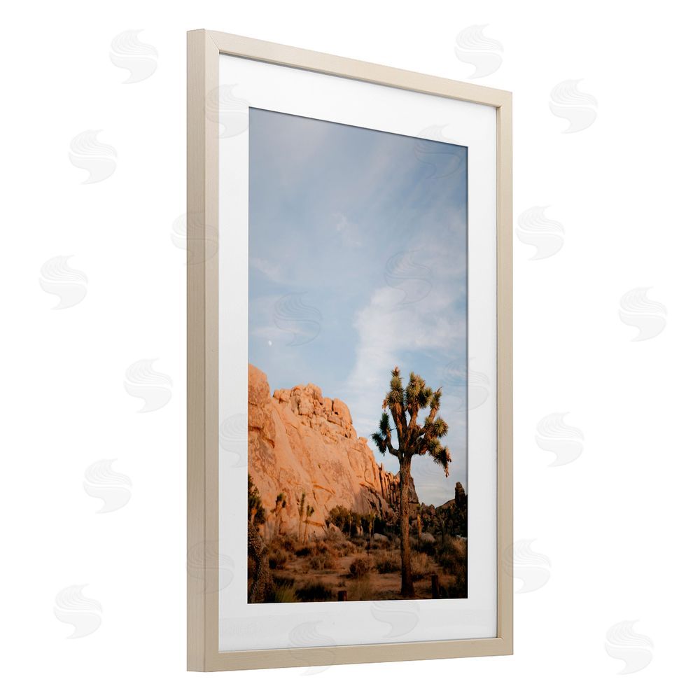 Jade Sharp Photo Joshua Tree & Canyon Birch Framed Print Under Glass Art
