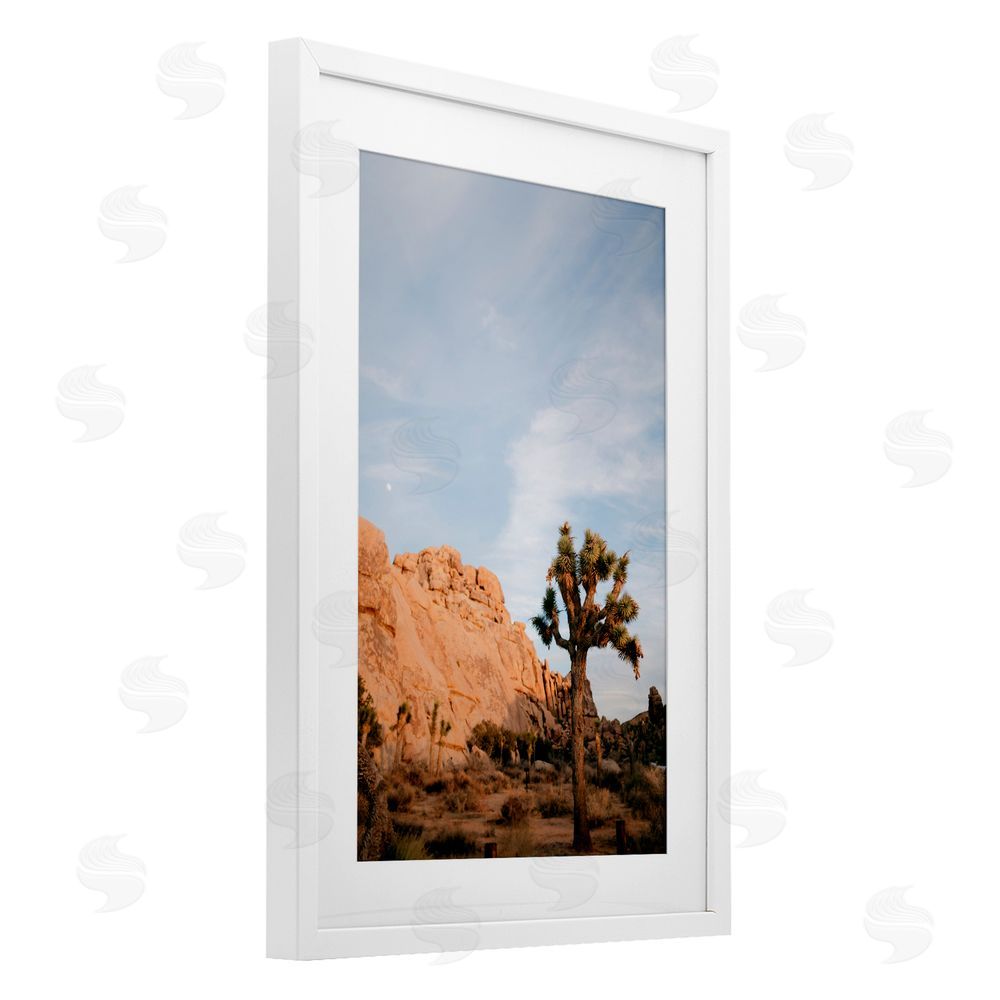Jade Sharp Photo Joshua Tree & Canyon White Framed Print Under Glass Art