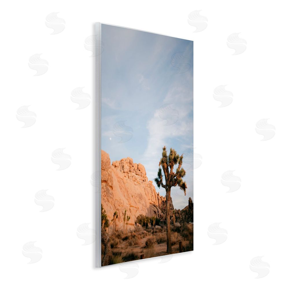 Jade Sharp Photo Joshua Tree & Canyon Wall Plaque Art Print