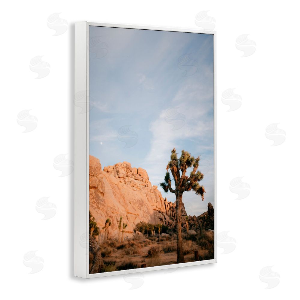 Jade Sharp Photo Joshua Tree & Canyon White Frame Giclee Art Print