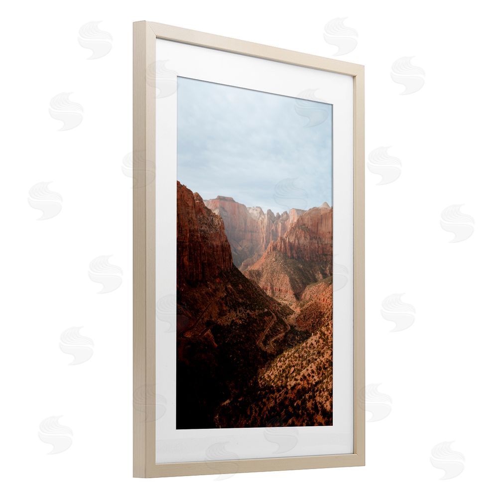 Jade Sharp Photo Vast Canyon Zion Park Birch Framed Print Under Glass Art