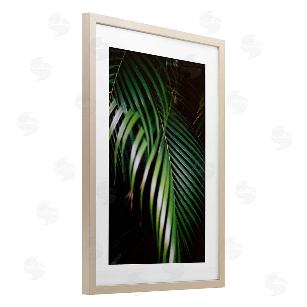 Jade Sharp Photo Palm Leaves Weaving Together Birch Framed Print Under Glass Art