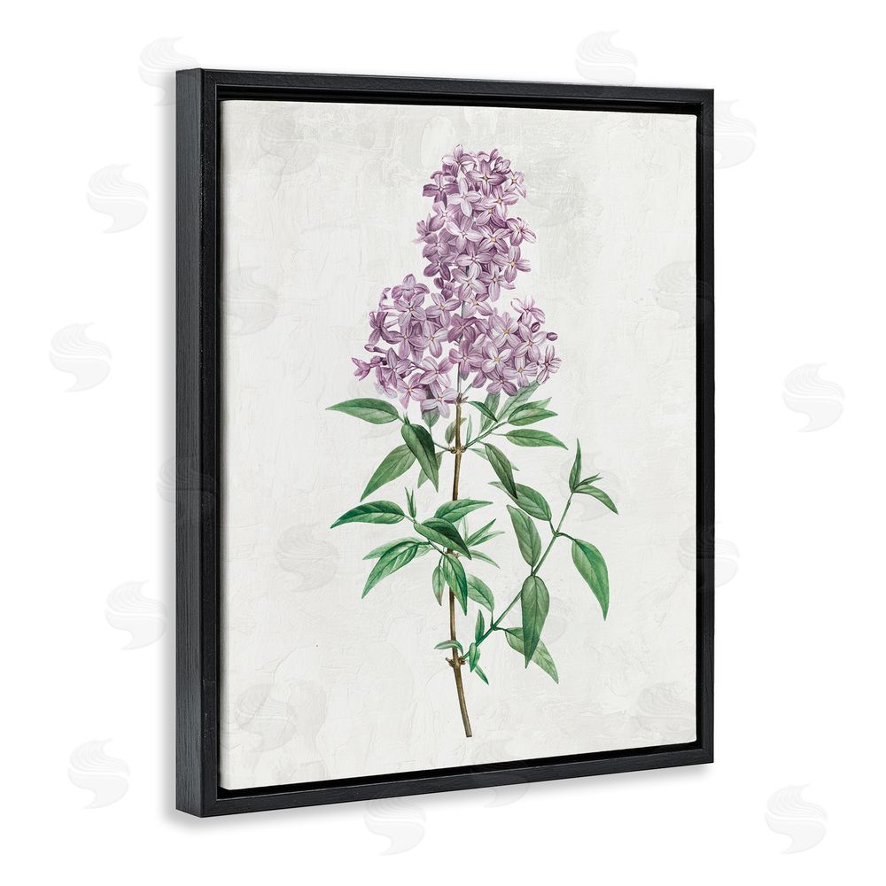Kim Allen Lilac Blossoms Blooms Black Floating Frame Canvas Wall Art