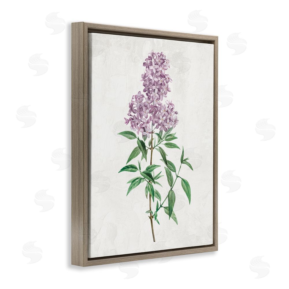 Kim Allen Lilac Blossoms Blooms Brown Floating Frame Canvas Wall Art