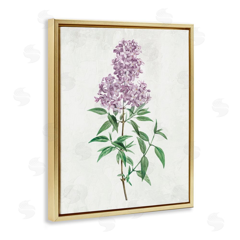 Kim Allen Lilac Blossoms Blooms Gold Floating Frame Canvas Wall Art