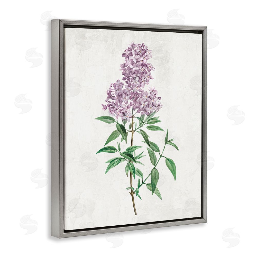 Kim Allen Lilac Blossoms Blooms Gray Floating Frame Canvas Wall Art