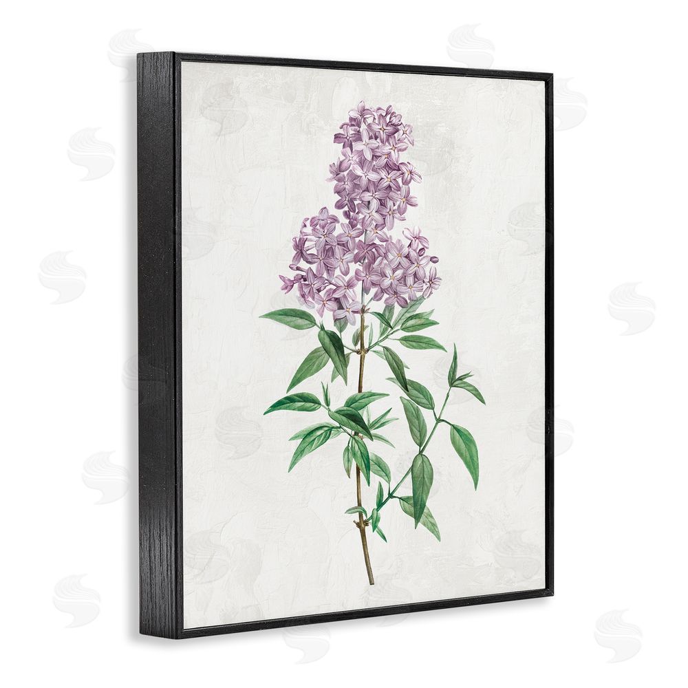 Kim Allen Lilac Blossoms Blooms Blacked Framed Giclee Wall Art Print