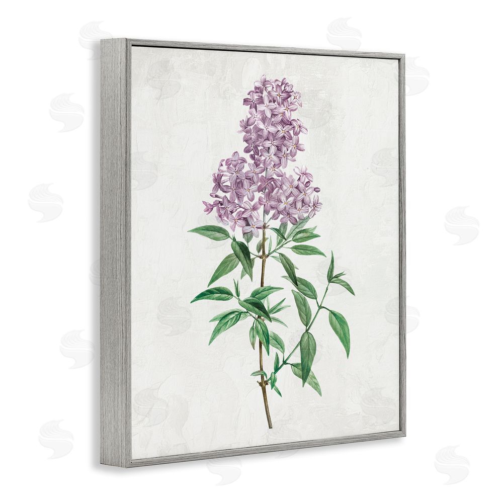 Kim Allen Lilac Blossoms Blooms Gray Framed Giclee Wall Art Print