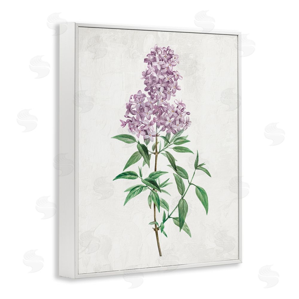 Kim Allen Lilac Blossoms Blooms White Framed Giclee Wall Art Print