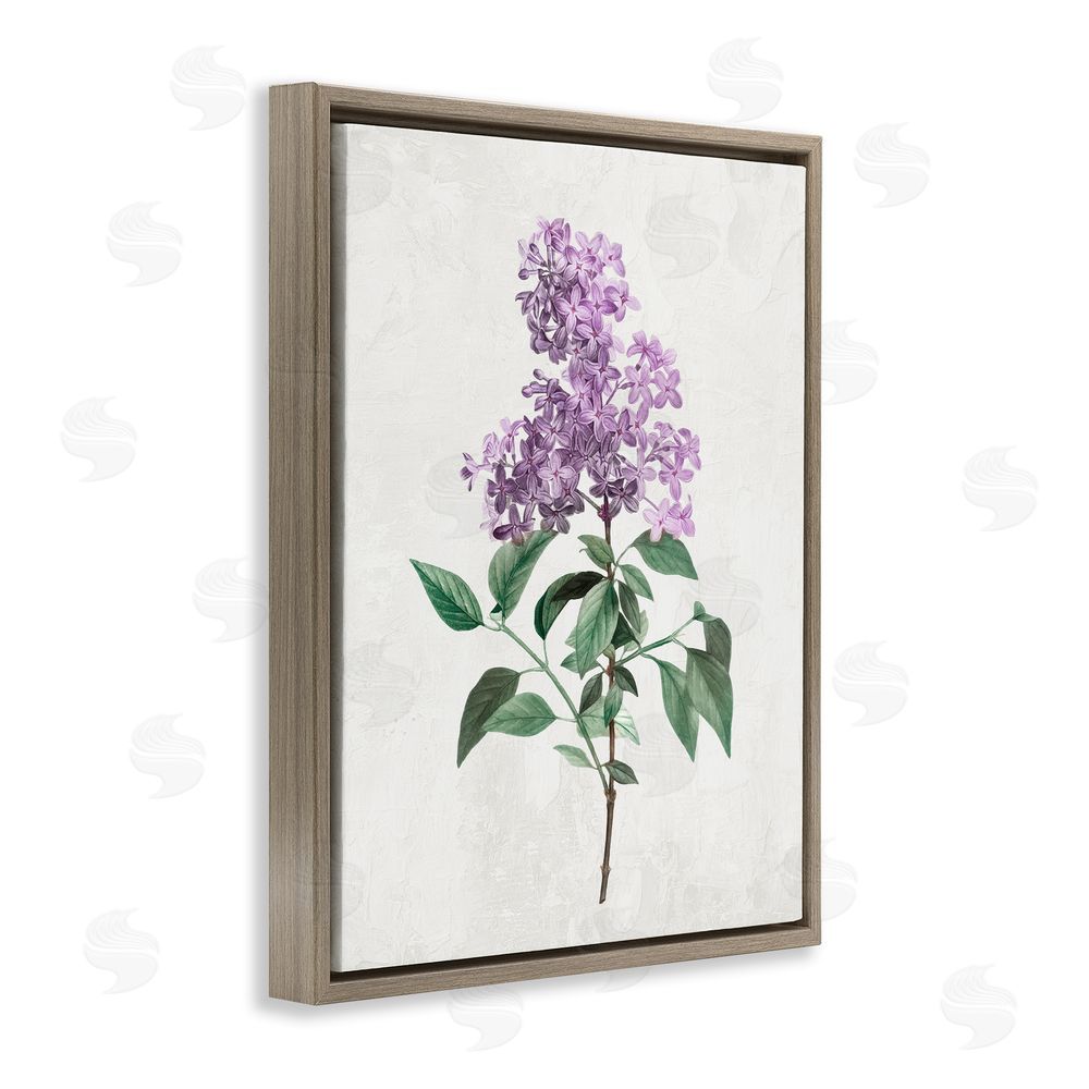 Kim Allen Lilac Herb Blossoms Brown Floating Frame Canvas Wall Art