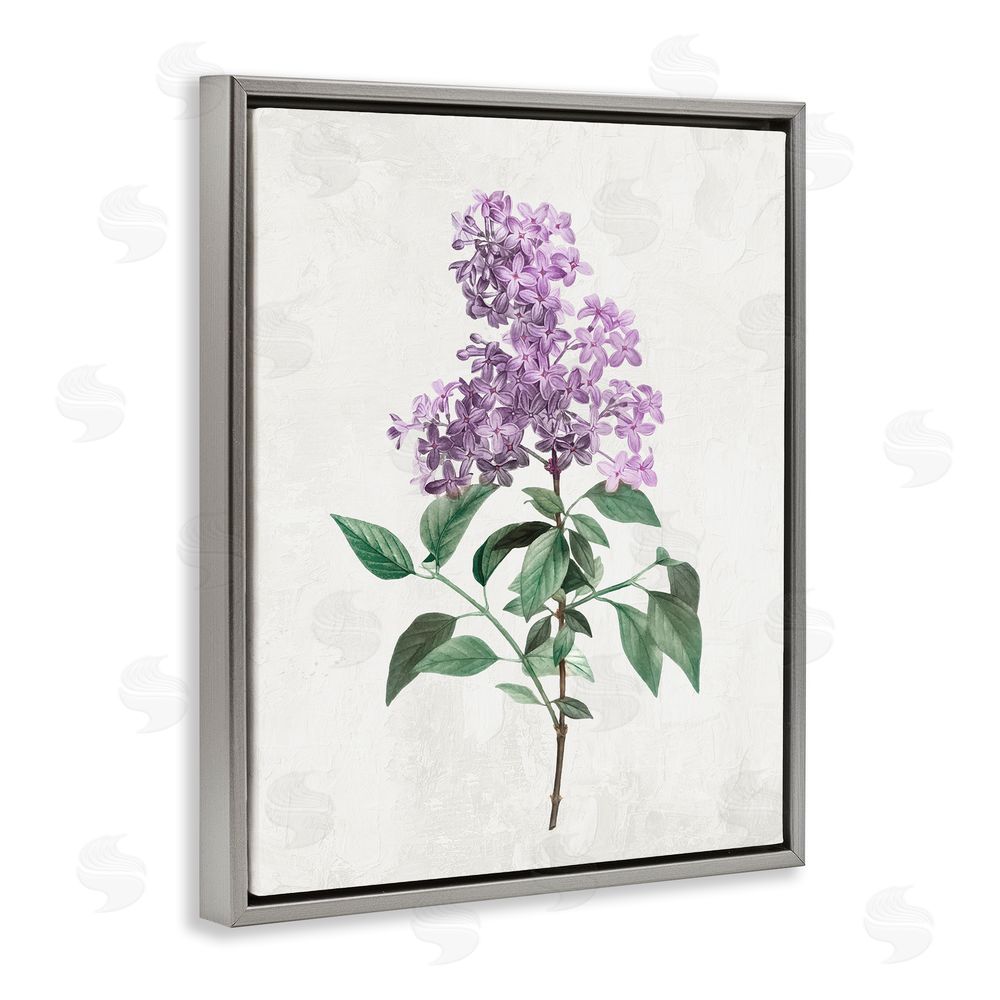 Kim Allen Lilac Herb Blossoms Gray Floating Frame Canvas Wall Art