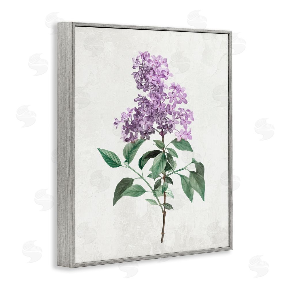 Kim Allen Lilac Herb Blossoms Gray Framed Giclee Wall Art Print
